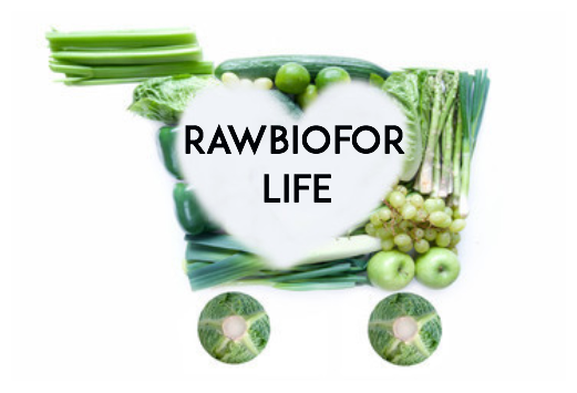 Biopotraviny a raw strava | rawbioforlife.cz